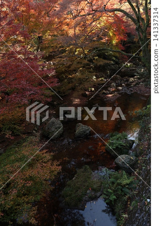 Landscape with autumn leaves and river 141337314