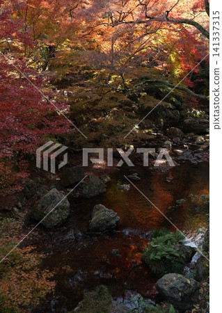 景觀與秋葉和河流 景觀與秋葉和河流 141337315