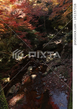 景觀與秋葉和河流 景觀與秋葉和河流 141337316
