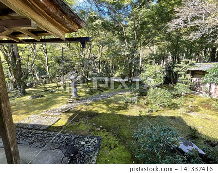 迷人的日式花園,點綴著石燈籠和綠色的楓葉。 迷人的日式花園,點綴著石燈籠和綠色的楓葉。 141337416