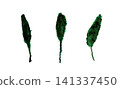 [Transparent Background] Hand-painted watercolor of three dark green leaves 141337450