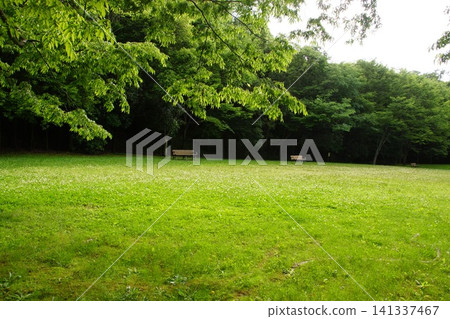 Nishikiori Park: A lush green park Nishikiori Park: A lush green park 141337467
