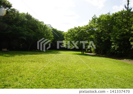 錦織公園:一個綠樹成蔭的公園 錦織公園:一個綠樹成蔭的公園 141337470
