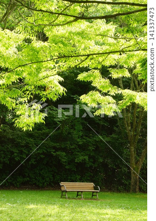 Nishikiori Park: A lush green park Nishikiori Park: A lush green park 141337473