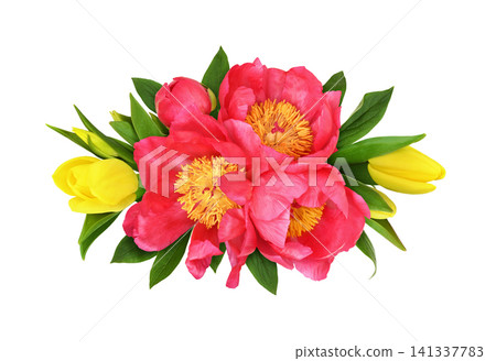 Beautiful coral peonies and yellow tulip flowers in a floral arrangement isolated on white background Beautiful coral peonies and yellow tulip flowers in a floral arrangement isolated on white background 141337783