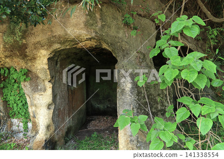 Bora (caves) on Nonoshima Island in the Uradoto Islands Bora (caves) on Nonoshima Island in the Uradoto Islands 141338554