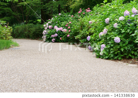 Landscape with hydrangeas 141338630