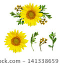 Sunflower, green leaves and wild flowers in a summer floral arrangement isolated on white background with set of elements for design 141338659