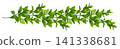 Green twigs of ruscus leaves in a line loopable pattern isolated on white background 141338681