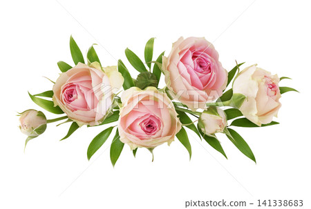Small pink rose flowers and green eucalyptus leaves in a floral arrangement isolated on white background Small pink rose flowers and green eucalyptus leaves in a floral arrangement isolated on white background 141338683