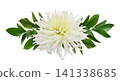 Large beautiful white dahlia flower and ruscus green leaves in a floral arrangement isolated on white background 141338685
