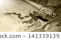 Stone axe with red blood 141339139