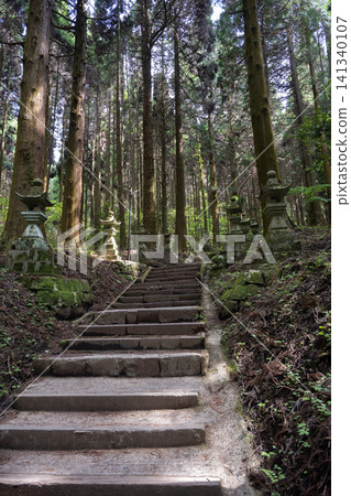 熊本縣上敷見熊野座神社的參道兩旁排列著石燈籠。 熊本縣上敷見熊野座神社的參道兩旁排列著石燈籠。 141340107