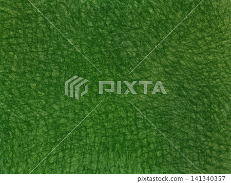 Dark green background with a texture like leather or Japanese paper. 141340357