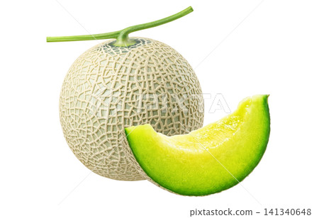 Realistic illustration of a melon 141340648