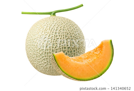 Realistic illustration of a melon Realistic illustration of a melon 141340652