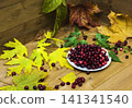 Still-life with cranberries on a white saucer and autumn leaves on a wooden surface 141341540