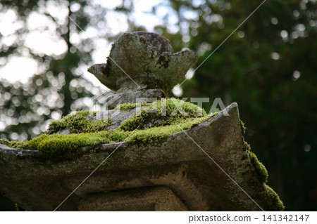 Stone lantern basket with moss Stone lantern basket with moss 141342147