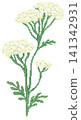 Yarrow flower in pixel art 141342931
