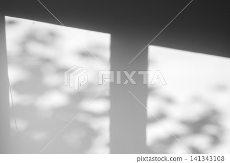 natural tree leaves shadow drop on window background natural tree leaves shadow drop on window background 141343108