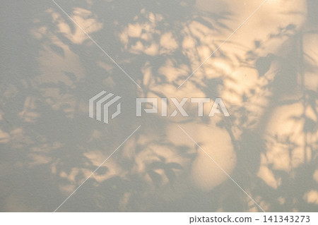 Abstract natural tree branch leaves shadow on beige wall background Abstract natural tree branch leaves shadow on beige wall background 141343273