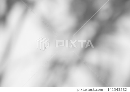 Abstract natural tree branch leaves shadow on white wall background Abstract natural tree branch leaves shadow on white wall background 141343282
