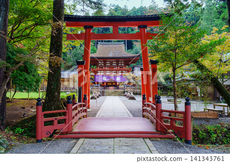 The shrine building of Nyutsuhime Shrine The shrine building of Nyutsuhime Shrine 141343761