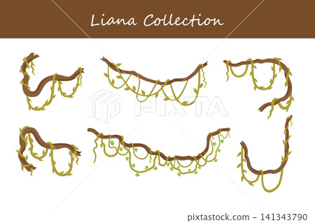 liana collection liana collection 141343790
