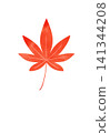 Illustration of autumn leaves 141344208