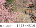 Watarase Valley Railway, Spring, Peach Blossoms 141344319