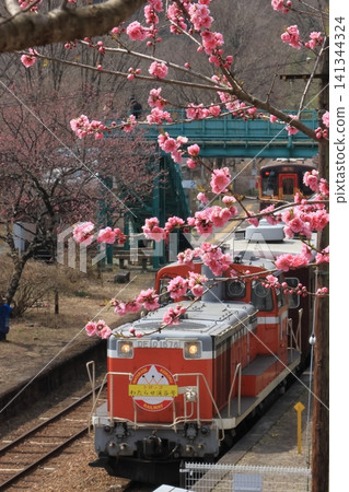 渡良瀨谷鐵路,春天,桃花 渡良瀨谷鐵路,春天,桃花 141344324