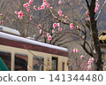 Watarase Valley Railway, Spring, Peach Blossoms 141344480