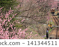 Watarase Valley Railway, Spring, Peach Blossoms 141344511