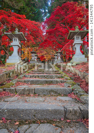 【清水寺】美的化身【長野市】 141344795