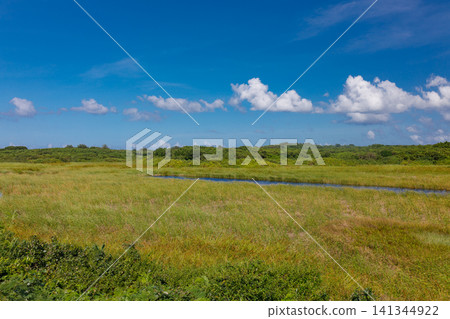 Ikema Wetland on Ikema Island, Okinawa Prefecture, under a clear blue sky Ikema Wetland on Ikema Island, Okinawa Prefecture, under a clear blue sky 141344922