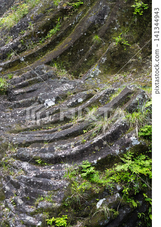 Takachiho Gorge: Columnar jointed rock formations and deep valleys, Miyazaki Prefecture 141344943