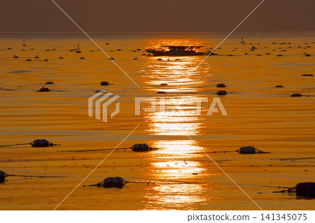 Seaweed farms in the Akashi Strait and the shimmering waves in the setting sun (from Hayashizaki Matsue Coast) Seaweed farms in the Akashi Strait and the shimmering waves in the setting sun (from Hayashizaki Matsue Coast) 141345075