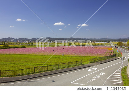 兵庫縣小野市城夜町向日葵之丘公園宇宙球場 兵庫縣小野市城夜町向日葵之丘公園宇宙球場 141345085