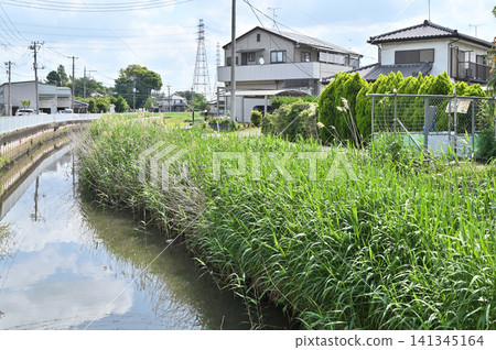 A walk around Iwatsuki: Kurotani River, an agricultural irrigation canal A walk around Iwatsuki: Kurotani River, an agricultural irrigation canal 141345164