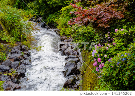 White boar waterfall rural park White boar waterfall rural park 141345202