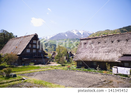 Snow-capped mountains and thatched-roof villages: The rural landscape of Shirakawa-go and spring plowing. Snow-capped mountains and thatched-roof villages: The rural landscape of Shirakawa-go and spring plowing. 141345452