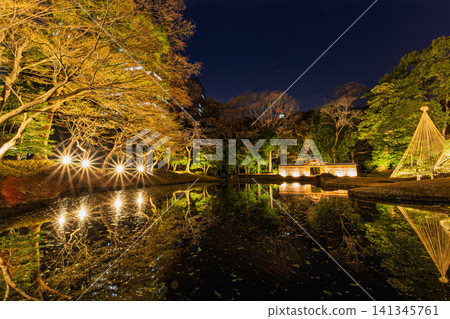 Koishikawa Korakuen Garden at night, January 2024: Illuminated trees and rays of light reflecting on the pond. 141345761