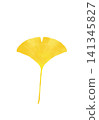 Illustration of ginkgo leaves 141345827