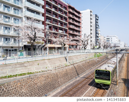 【山手線】山手線列車駛過一排櫻花樹 【山手線】山手線列車駛過一排櫻花樹 141345883