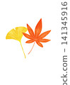 Illustration of autumn leaves painted in watercolor 141345916