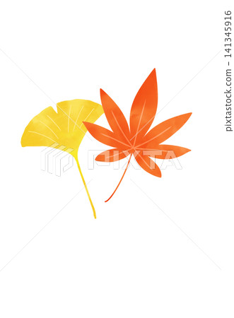 Illustration of autumn leaves painted in watercolor Illustration of autumn leaves painted in watercolor 141345916