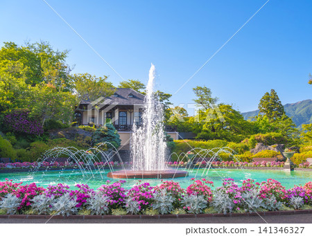 從箱根強羅公園的噴泉池邊眺望皮克咖啡館,此時春花盛開。 從箱根強羅公園的噴泉池邊眺望皮克咖啡館,此時春花盛開。 141346327
