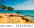 Tropical landscape with sandy beach, turquoise water, and driftwood on shore.  141346362