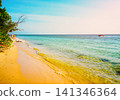 Tropical beach with turquoise water and golden sand In Caribbean islands. 141346364