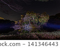 The night view unfolds beyond the illuminated grassy area in the foreground, showcasing the contrast between the nighttime scenery of Koishikawa Korakuen Garden's large pond and the skyscrapers of the city. 141346443